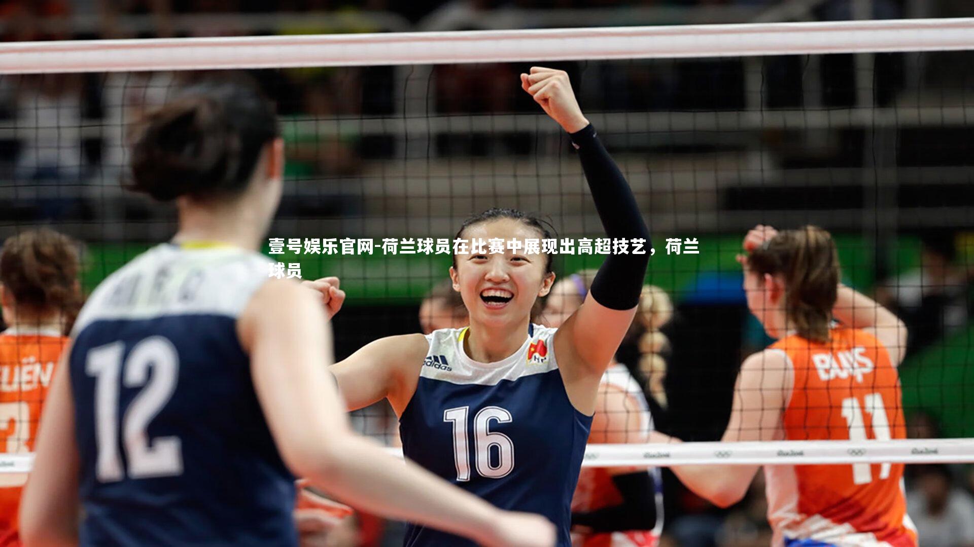 荷兰球员在比赛中展现出高超技艺,荷兰 球员